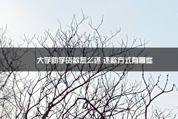 大学助学贷款怎么还 还款方式有哪些