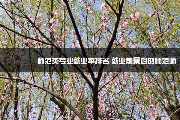 师范类专业就业率排名 就业前景好的师范师范专业