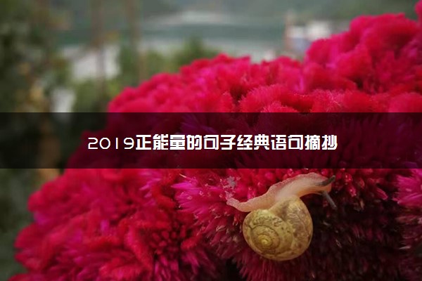 2019正能量的句子经典语句摘抄