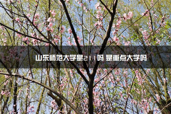 山东师范大学是211吗 是重点大学吗