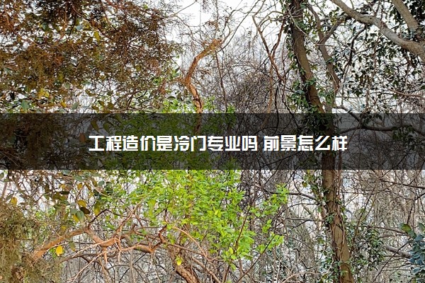 工程造价是冷门专业吗 前景怎么样