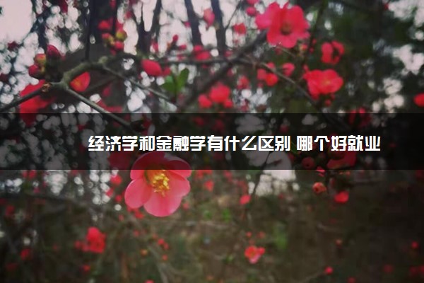 经济学和金融学有什么区别 哪个好就业