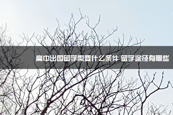 高中出国留学需要什么条件 留学途径有哪些