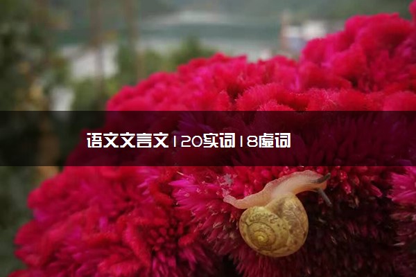 语文文言文120实词18虚词