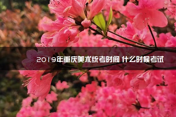 2019年重庆美术统考时间 什么时候考试