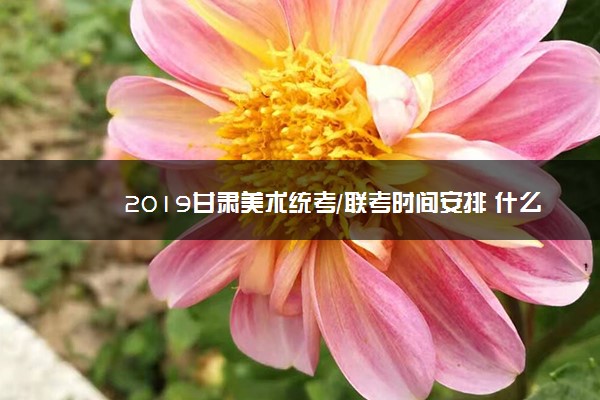 2019甘肃美术统考/联考时间安排 什么时候考试