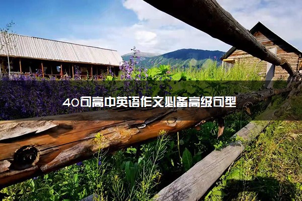 40句高中英语作文必备高级句型