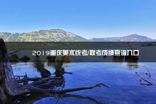 2019重庆美术统考/联考成绩查询入口