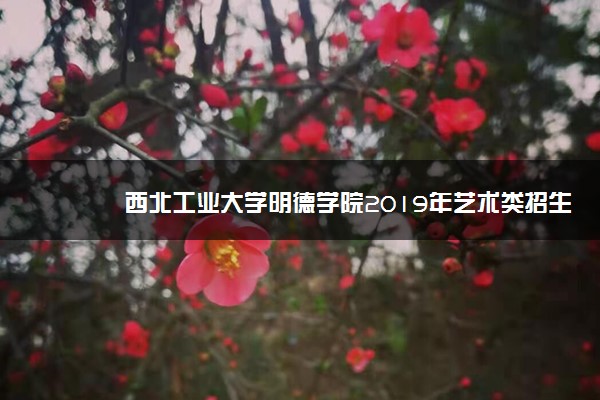 西北工业大学明德学院2019年艺术类招生章程