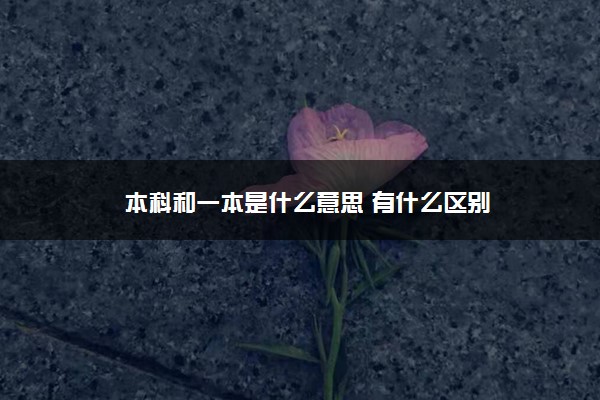 本科和一本是什么意思 有什么区别