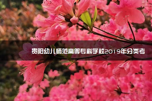 贵阳幼儿师范高等专科学校2019年分类考试招生章程