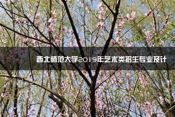 西北师范大学2019年艺术类招生专业及计划