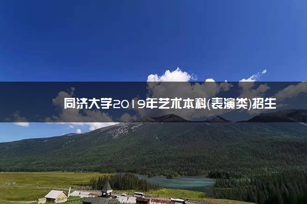 同济大学2019年艺术本科（表演类）招生专业及计划