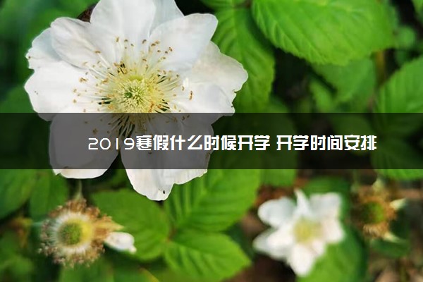 2019寒假什么时候开学 开学时间安排