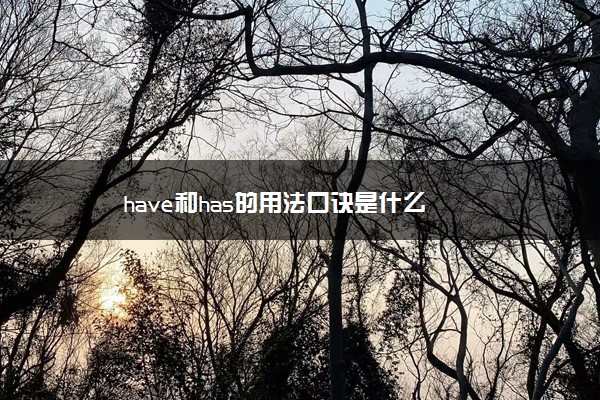 have和has的用法口诀是什么