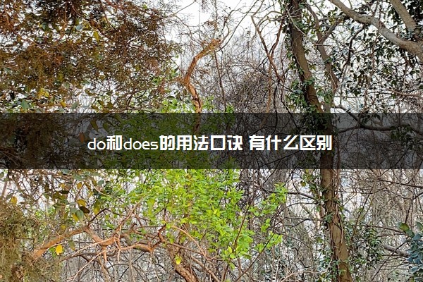 do和does的用法口诀 有什么区别