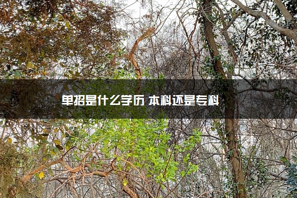 单招是什么学历 本科还是专科