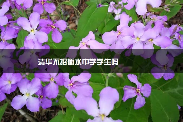 清华不招衡水中学学生吗