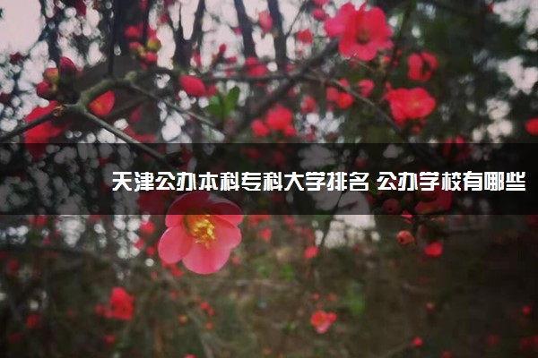 天津公办本科专科大学排名 公办学校有哪些