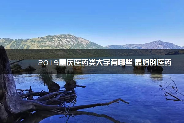 2019重庆医药类大学有哪些 最好的医药类大学排名