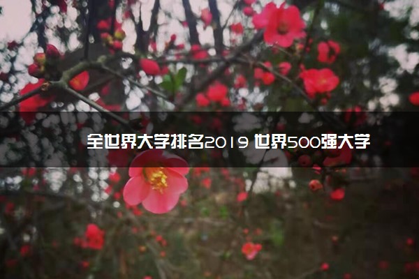 全世界大学排名2019 世界500强大学排行榜