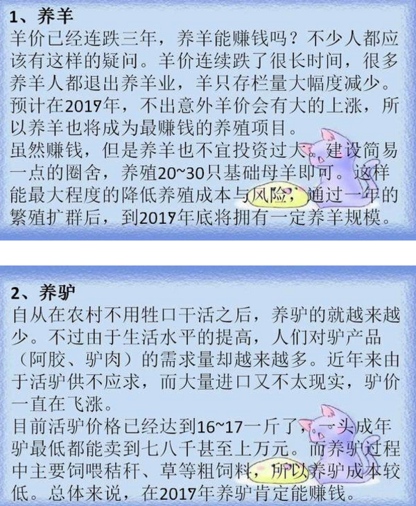 马云说未来养殖业 农村养殖什么不愁销路