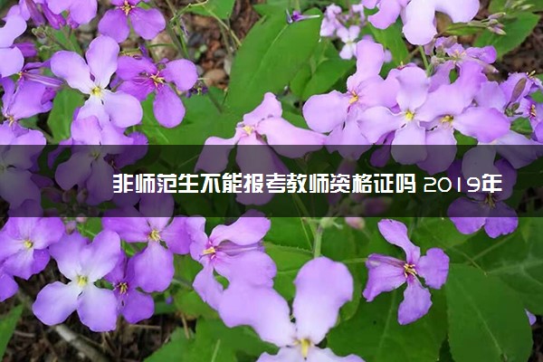 非师范生不能报考教师资格证吗 2019年教师资格证改革