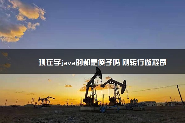 现在学java的都是傻子吗 刚转行做程序员后悔了