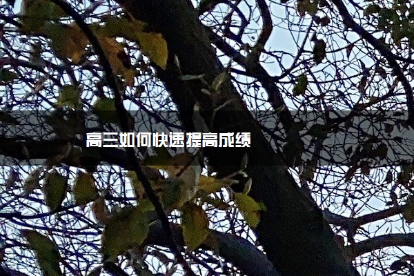 高三如何快速提高成绩