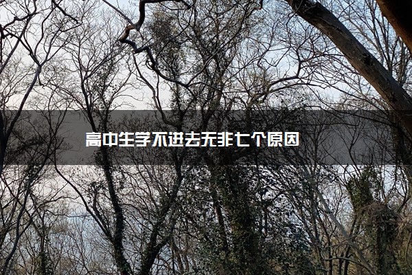 高中生学不进去无非七个原因