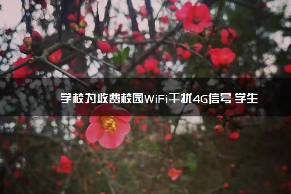 学校为收费校园WiFi干扰4G信号 学生抱怨4G网太差