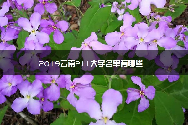 2019云南211大学名单有哪些