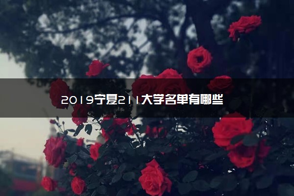 2019宁夏211大学名单有哪些