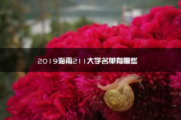 2019海南211大学名单有哪些