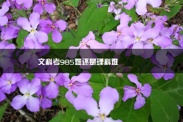 文科考985难还是理科难