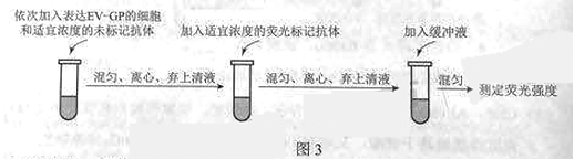 2019年高考理综压轴模拟试题（含答案）