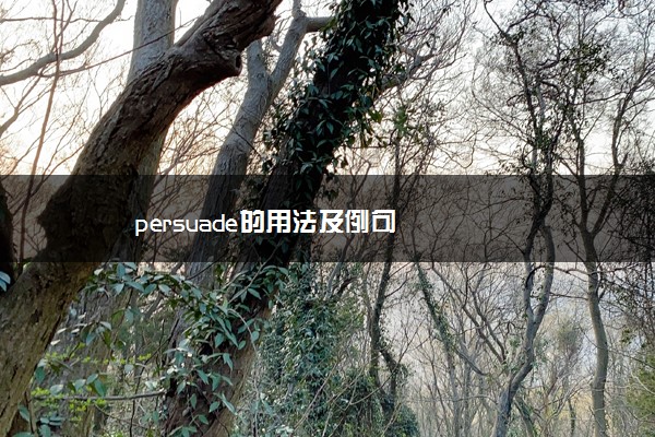 persuade的用法及例句