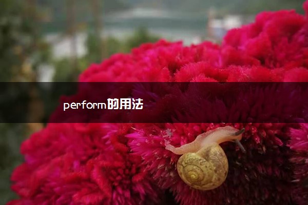 perform的用法