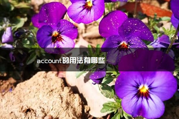 account的用法有哪些