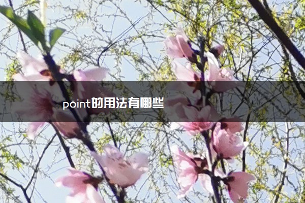 point的用法有哪些