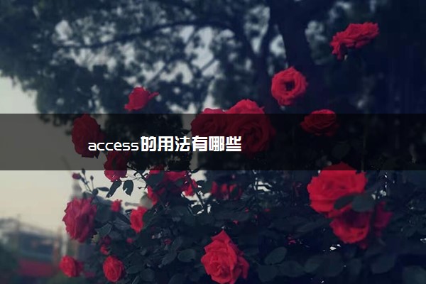 access的用法有哪些