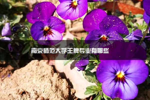 南京师范大学王牌专业有哪些