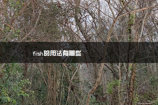 fish的用法有哪些