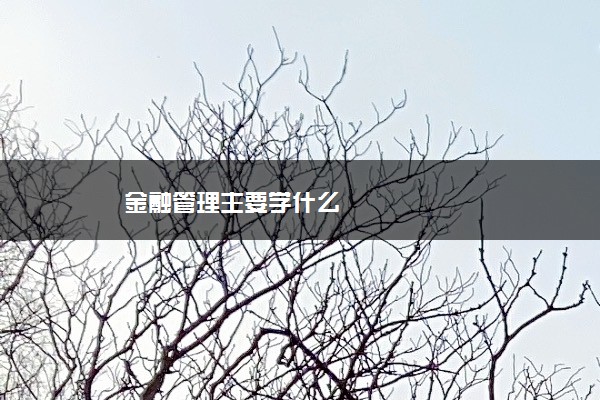 金融管理主要学什么