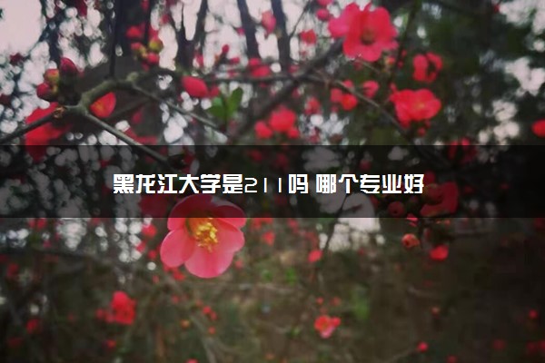 黑龙江大学是211吗 哪个专业好