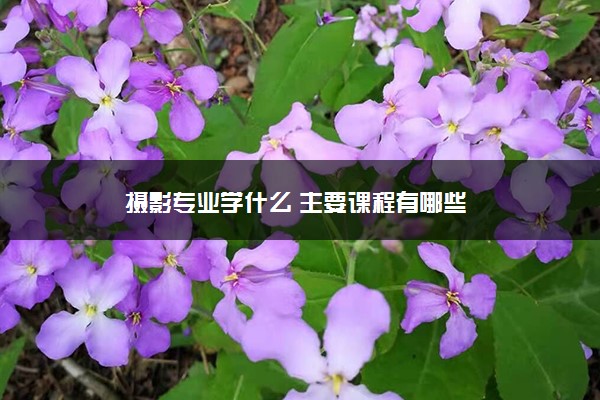 摄影专业学什么 主要课程有哪些