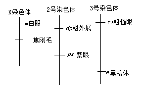 2019广东高考理综试题【word精校版】