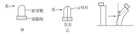 2019宁夏高考理综试题及答案【word真题试卷】