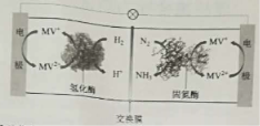 2019山西高考理综试题【word精校版】