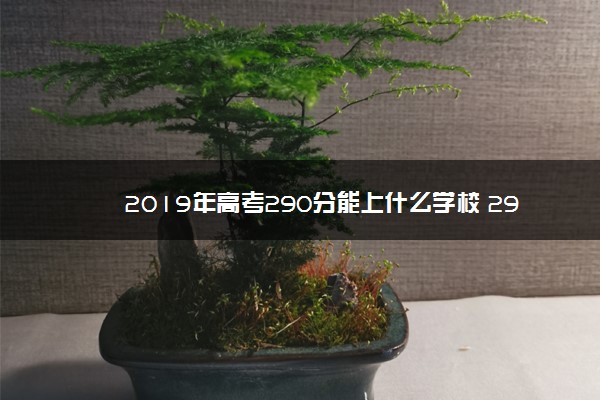 2019年高考290分能上什么学校 290分可以读什么大学